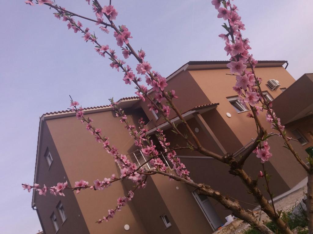 Apartmani B&B Ližnjan Exterior foto